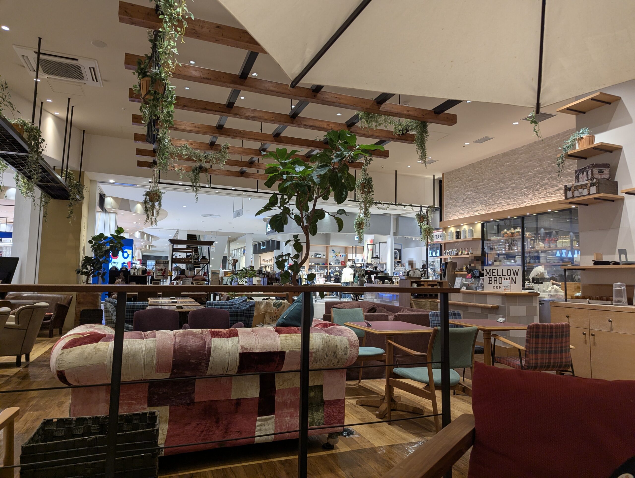 観葉植物が飾られた木の梁とソファ席が並ぶカフェの店内